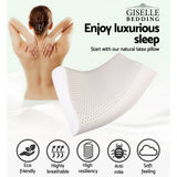 Giselle Bedding Natural Latex Pillow 2-Zone Twin Pack - Front View