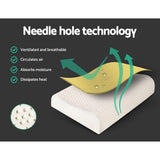 Giselle Bedding Natural Latex Pillow 2-Zone Twin Pack - Top-Down View