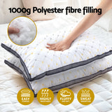 Giselle 2pcs Pillows Microfibre - Top-Down View