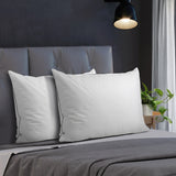 Bedra 75 x 50cm Pillow with Duck Feather Twin Pack