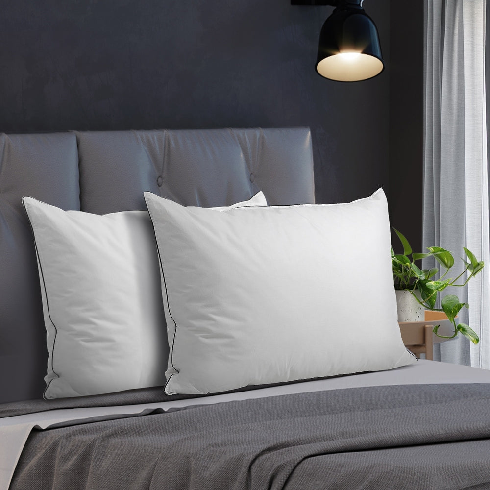 Bedra 75 x 50cm Pillow with Duck Feather Twin Pack