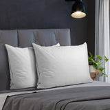 Bedra 75 x 50cm Pillow with Duck Feather Twin Pack - 45-Degree Angle
