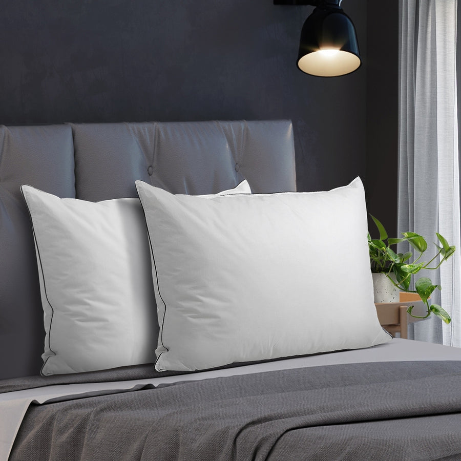 Bedra 75 x 50cm Pillow with Duck Feather Twin Pack