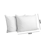 Bedra 75 x 50cm Pillow with Duck Feather Twin Pack - Top-Down View