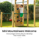 ROVO KIDS Ultimate Outdoor Monkey Bars Playset Frame, with Climbing Wall, Disc Swing, Rope Ladder - 45-Degree Angle