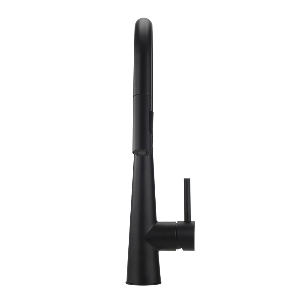 Welba Kitchen Mixer Tap Pull Out Faucet 2-Mode Swivel Black