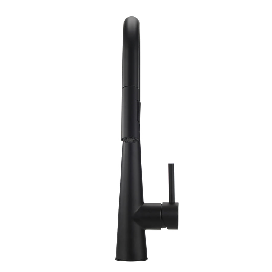 Welba Kitchen Mixer Tap Pull Out Faucet 2-Mode Swivel Black