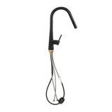 Welba Kitchen Mixer Tap Pull Out Faucet 2-Mode Swivel Black