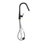 Welba Kitchen Mixer Tap Pull Out Faucet 2-Mode Swivel Black