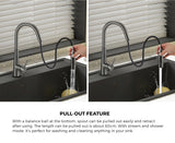 Welba Kitchen Mixer Tap Pull Out Faucet 2-Mode Swivel Grey
