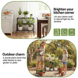 Artiss Plant Stand 3 Tier Metal Corner Plant Shelf Multiple Flower Holder Rack - Close-Up Angle