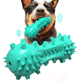Blue Squeak Dog Toothbrush-1962324912542715904