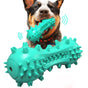 Blue Squeak Dog Toothbrush