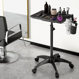 Stylish Embellir Rolling Salon Trolley Cart for Beauty and Hairdressing Storage - 45-Degree Angle