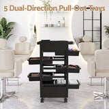 Embellir 6-Tier Salon Trolley Cart on Wheels Barber Mobile Hairdressing Cart - Rear View