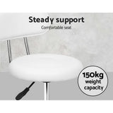 Artiss Salon Stool Swivel Chair Backrest White - Rear View