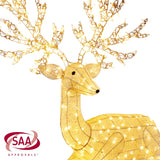 Christabelle Reindeer Christmas Display with Lights - 129cm