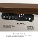 Oikiture Electric Standing Desk Single Motor White&Walnut 140CM - Front View