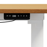 Oikiture 160cm Electric Standing Desk w/ Drawer Adjustable Oak White - Front View