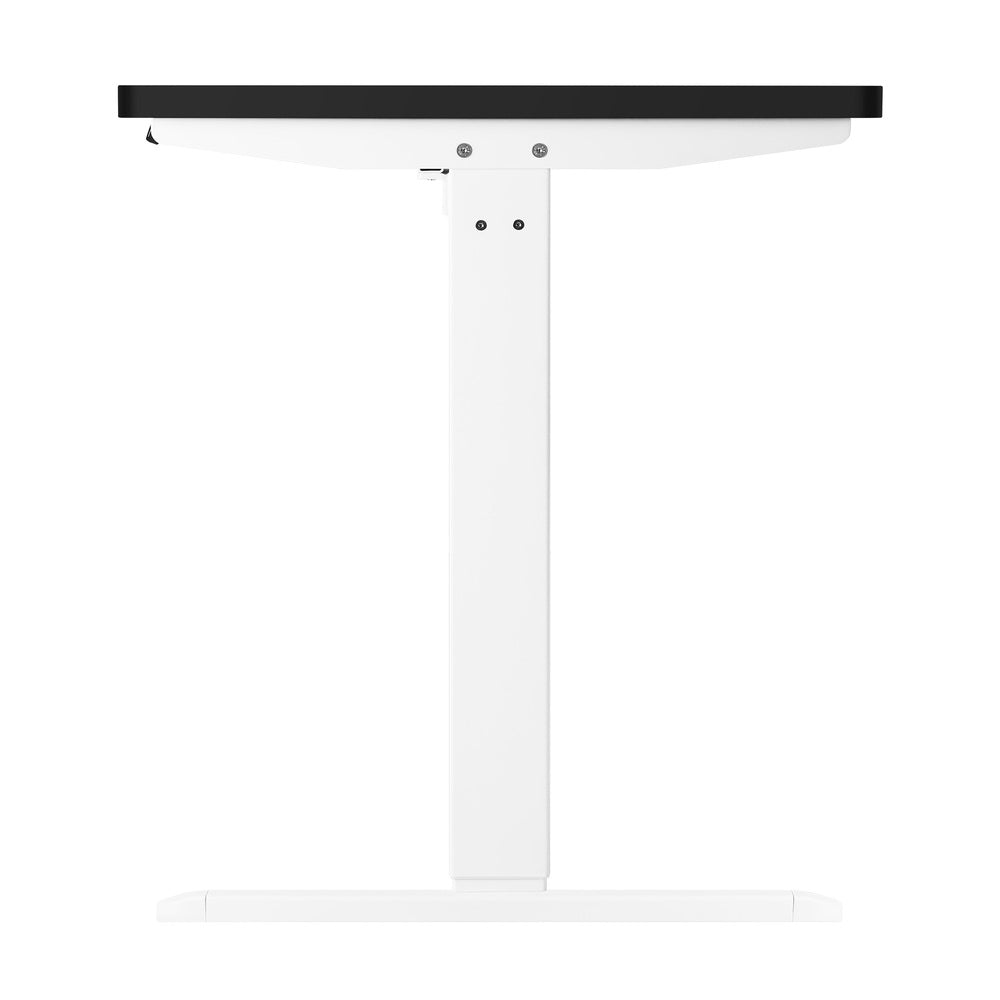 Oikiture Standing Desk Adjustable Motorised 120cm White&Black