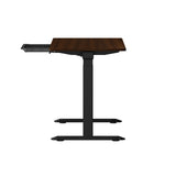 Oikiture 160cm Electric Standing Desk with Drawer Adjustable Black Walnut - Rear View