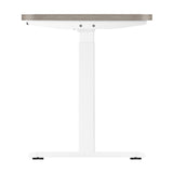 Oikiture 140cm Electric Standing Desk Dual Motor White&Grey-Oak