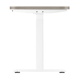 Oikiture 140cm Electric Standing Desk Dual Motor White&Grey-Oak - 45-Degree Angle