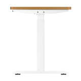 Oikiture Standing Desk Dual Motor Adjustable 140cm White&Oak