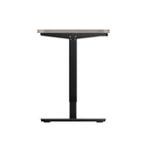 Oikiture 140CM Electric Standing Desk Adjustable Black&Grey-Oak