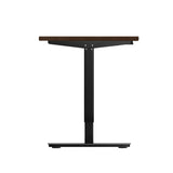 Oikiture Electric Standing Desk Single Motor Black&Walnut 140CM