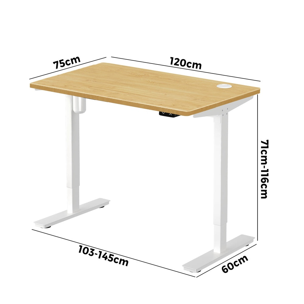 Oikiture Electric Standing Desk Single Motor White&Oak 120cm