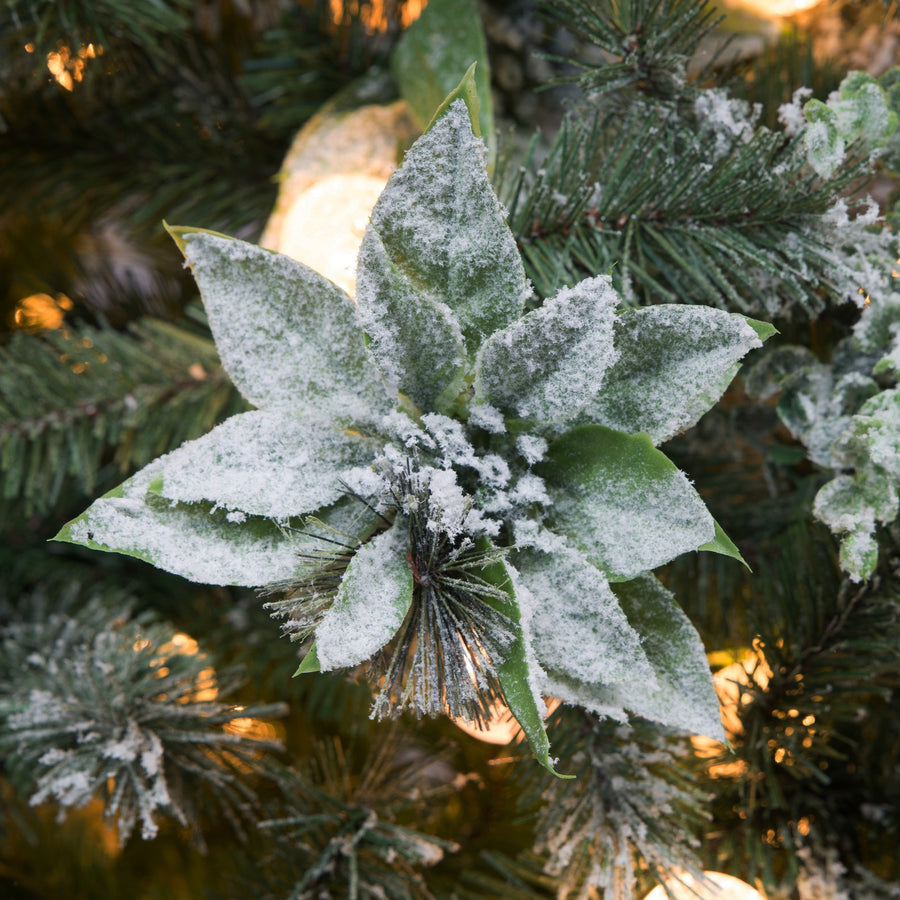 Christabelle Snowy Crown Pine 3.7m Multicolour Pre-Lit Christmas Tree with 5340 Tips