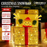 Christabelle Animated Snowman in a Gift Box LED Christmas Tree Decoration Ornament Lights Xmas - Front View