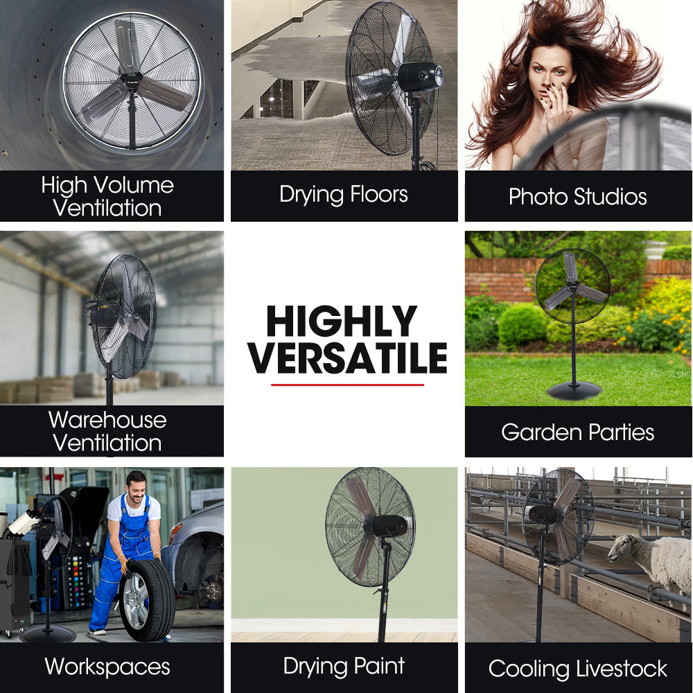 BAUMR-AG 30' 762mm 300W Industrial Pedestal Fan, Large, Commercial, Heavy-duty, 3 Speed, EESS Certified