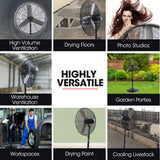 BAUMR-AG 30' 762mm 300W Industrial Pedestal Fan, Large, Commercial, Heavy-duty, 3 Speed, EESS Certified - Extra Image