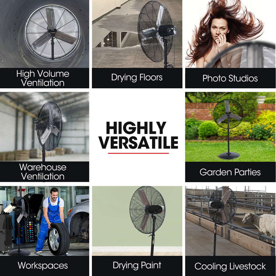 BAUMR-AG 30' 762mm 300W Industrial Pedestal Fan, Large, Commercial, Heavy-duty, 3 Speed, EESS Certified