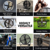 BAUMR-AG 42' 1067mm 660W Industrial Mobile Floor Drum Fan, Belt Drive, Tilting, Large, Commercial, Heavy-duty Frame, EESS Certified - Low Angle