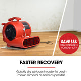 BAUMR-AG Carpet Floor Dryer Air Mover Blower Fan, 3-Speed, 1300CFM, Commercial/Home