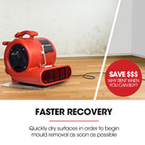 BAUMR-AG Carpet Floor Dryer Air Mover Blower Fan, 3-Speed, 1300CFM, Commercial/Home - Close-Up Angle