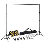 Adjustable 2.5X3M Photography Backdrop Support Stand Kit with Carry Bag and Accessories