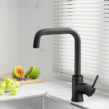 Cefito Kitchen Mixer Tap Mixer Rectangle Sink Faucet Basin Laundry Black - Low Angle
