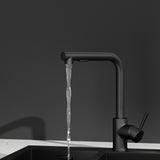 Kitchen Mixer Tap Pull Out Rectangle 2 Mode Sink Basin Faucet Swivel WELS Black - Top-Down View