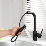 Kitchen Mixer Tap Pull Out Rectangle 2 Mode Sink Basin Faucet Swivel WELS Black - Close-Up Angle