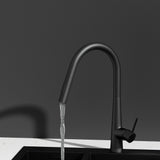 Kitchen Mixer Tap Pull Out Round 2 Mode Sink Basin Faucet Swivel WELS Black - Top-Down View