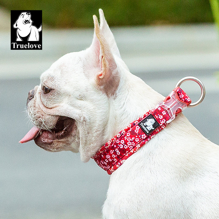 True Love Floral Dog Collar - Red, L-1962324873678295042