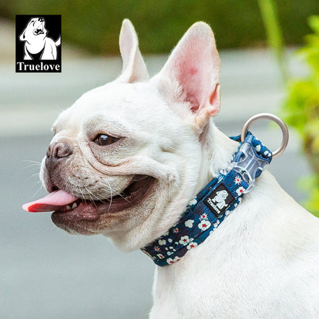 True Love Floral Dog Collar - Blue, 2XL-1962324872667467779