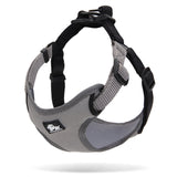 True Love Urban Dog Harness - Grey, S - Front View