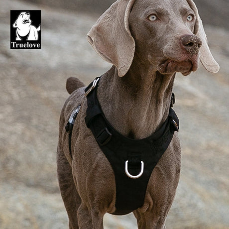 True Love Lightweight Dog Harness - Black, L-1962324858327142406