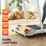 Everfit 2 in 1 Treadmill Electric Walking Pad Under Desk Home Gym Fitness 380mm White - Close-Up Angle