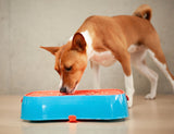 4-in-1 Slow Feeder Dog Bowl - Blue Bowl and Warm Ocean Red Lickmat - Rear View